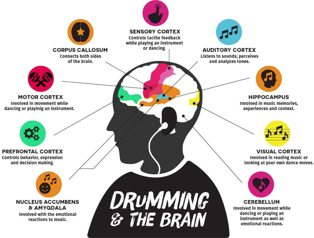 Image That Represents The Brain Benefits of Drumming